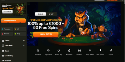 Vista previa del sitio de Cashwin