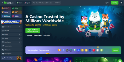 Превью сайта Wild.io